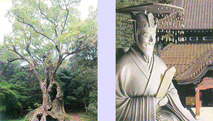 �莚 �S�����