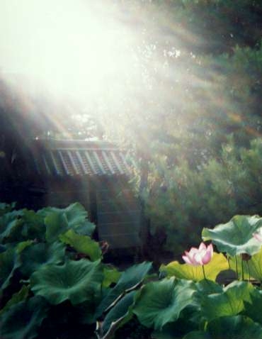 ���̌��Ƙ@�̉�