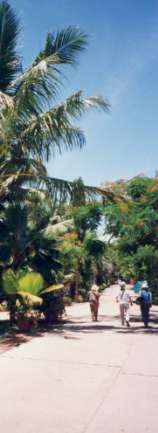 ���[�}�`�����h���~�b�V����